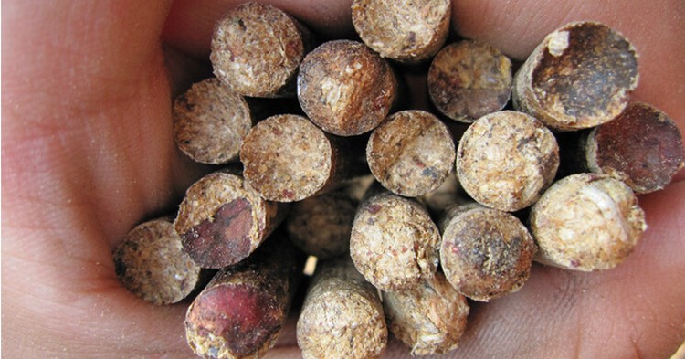 成型顆粒實拍圖 成型顆粒實拍圖