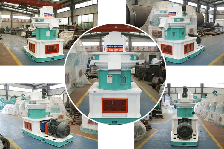 生物質(zhì)環(huán)模顆粒機設(shè)備更適合大中型企業(yè) 生物質(zhì)環(huán)模顆粒機設(shè)備更適合大中型企業(yè)