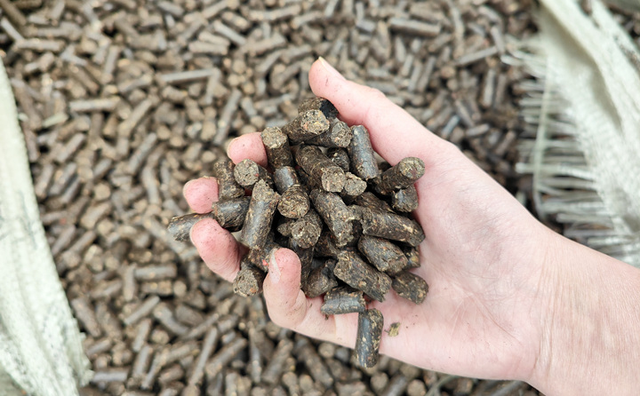 木屑顆粒機(jī)將秸稈變廢為寶，降碳節(jié)能一舉兩得