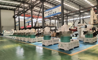 木屑顆粒機(jī)為什么選大不選??？